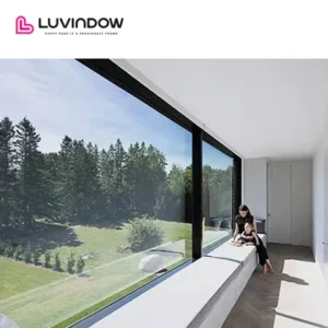 Black Aluminum Frame Picture Windows